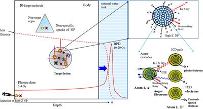 Ion Beam Stimulation Therapy With a Nanoradiator as a Site-Specific Prodrug